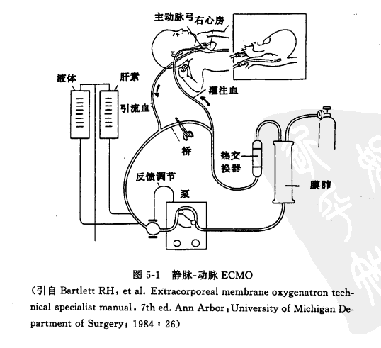 机电部门：阮万林