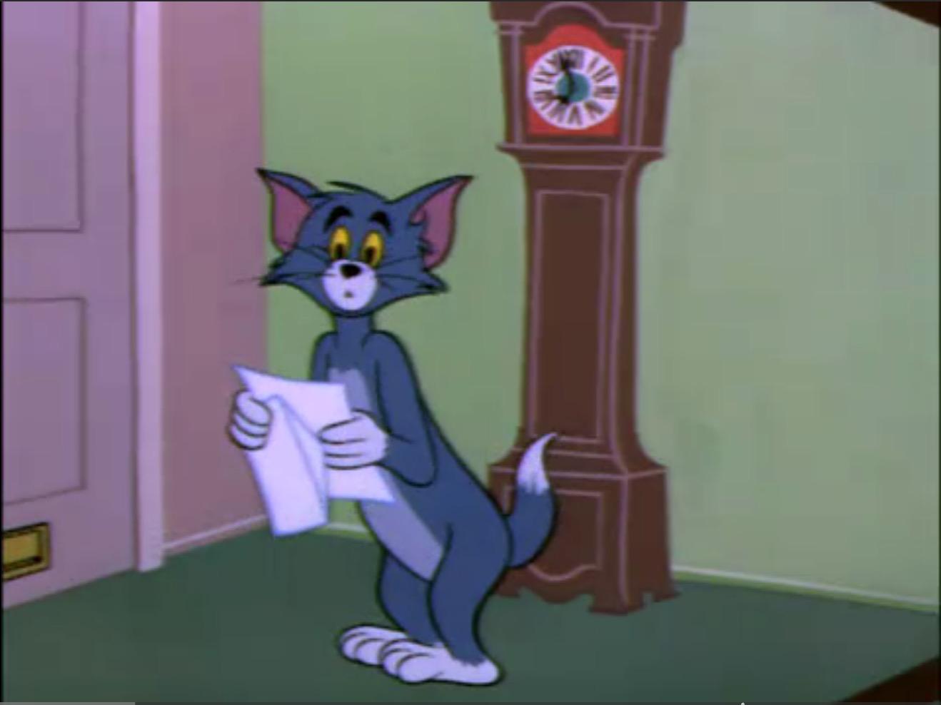 猫和老鼠tomandjerry中的tom猫是什么品种