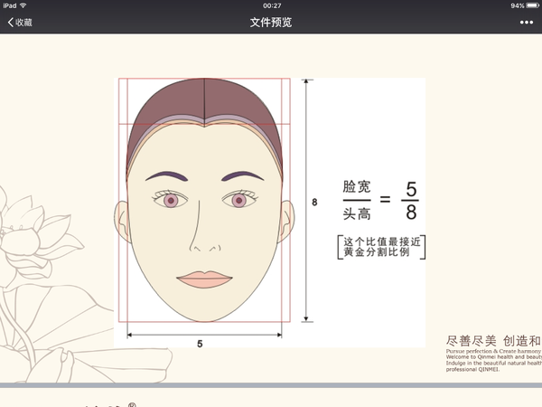 认识五官比例标准的黄金分割