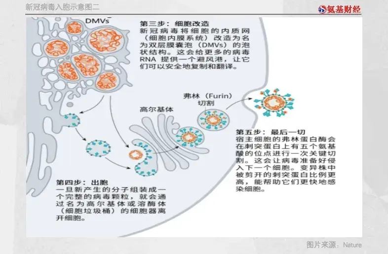 新冠疫苗战争前有德尔塔后有拉姆达病毒持续突变谁将胜出