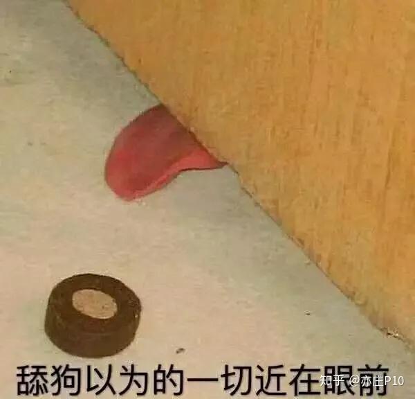 为什么舔狗不得house