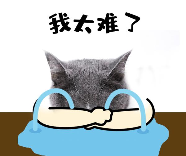 hr看简历的10个"暴躁"瞬间!