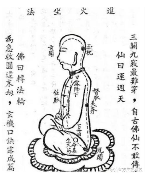 为何要像金津玉液一样珍惜唾液