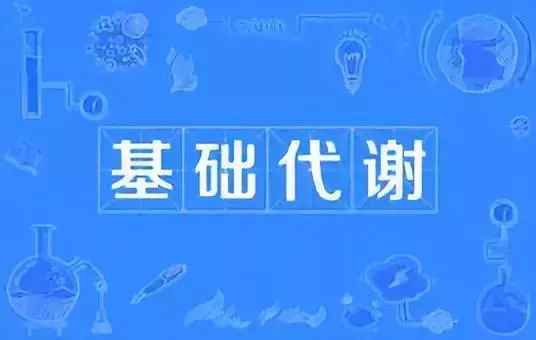 基础代谢对减脂那么重要,那么如何提高我们的基础代谢