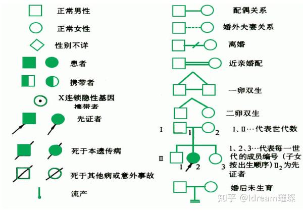 厦门大学《医学遗传学》期末归纳