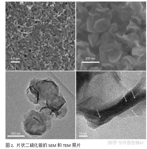 pom/mos2复合材料 纳米二硫化钼nano-mos2 微米二硫化钼(micro-mos2)