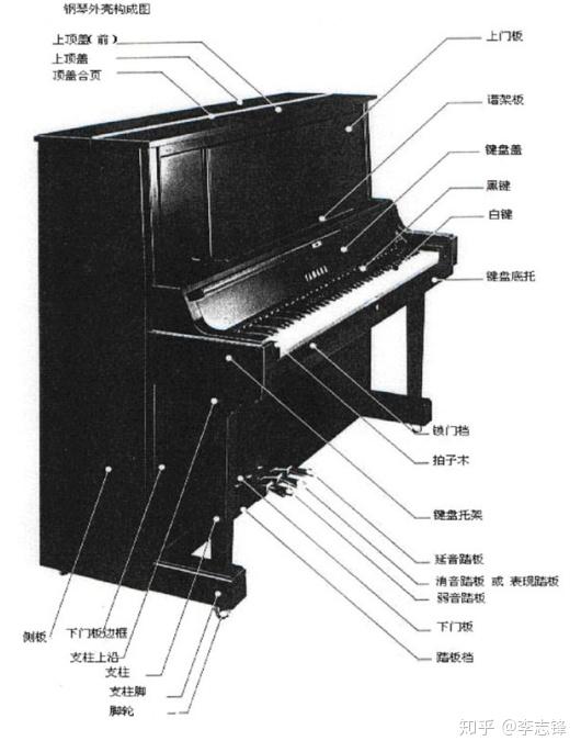 钢琴认知课 第五课 钢琴的机能和构造(四)