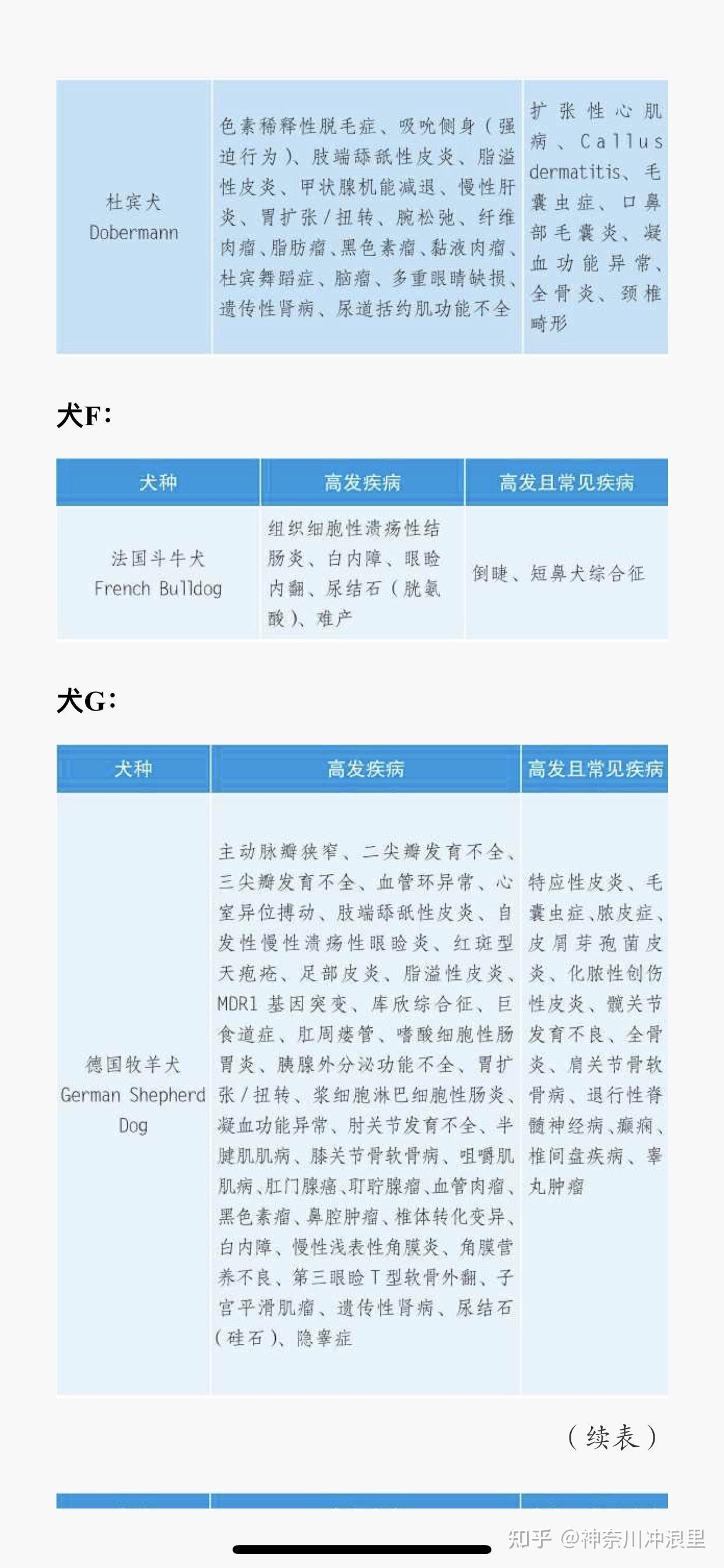 狗狗成长表