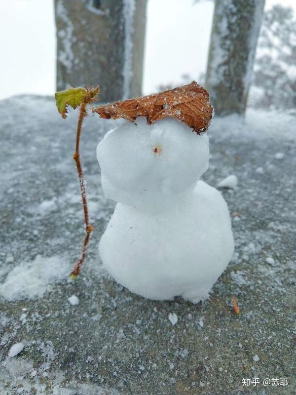 第一次堆雪人丑萌丑萌的哈哈