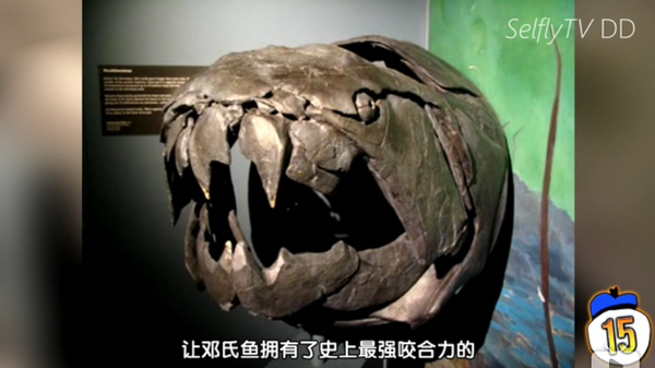 深海有什么恐怖的生物?