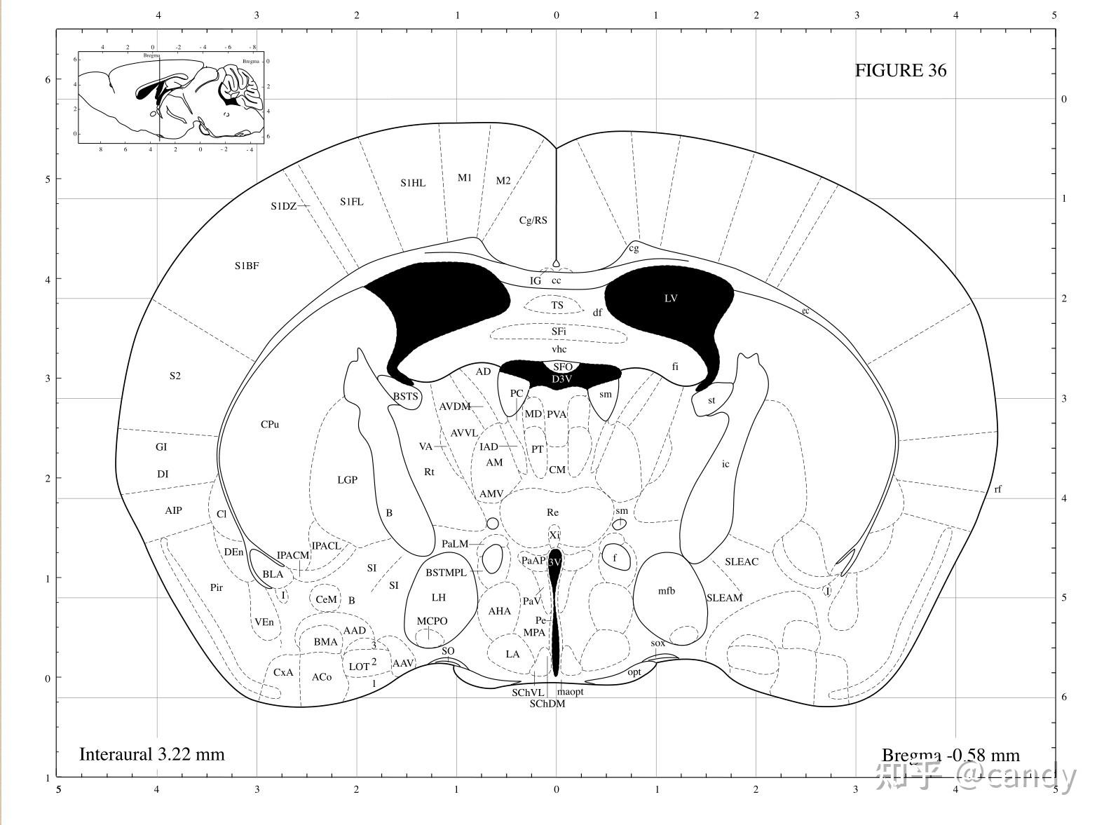大小鼠脑的解剖图谱在文章的最后的链接处(引用了知乎上的文章.1.