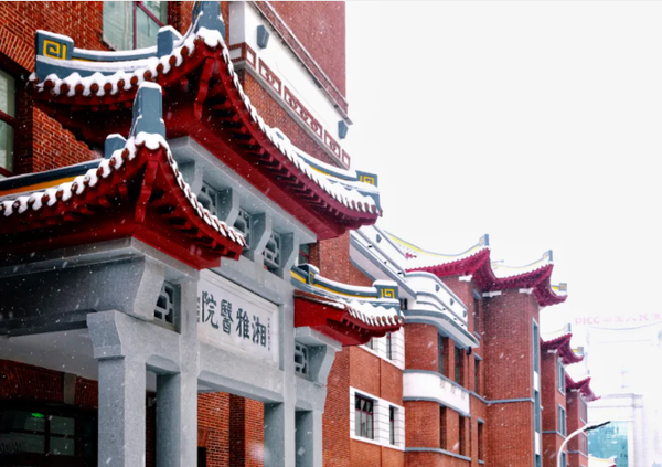 985院校中南大学上岸难度很大吗?【考研院校分析】