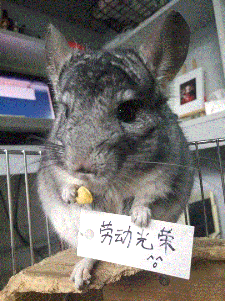 劳动节举牌