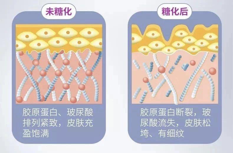 颜值丽舍有效抵抗肌肤糖化防止衰老的方法汇总