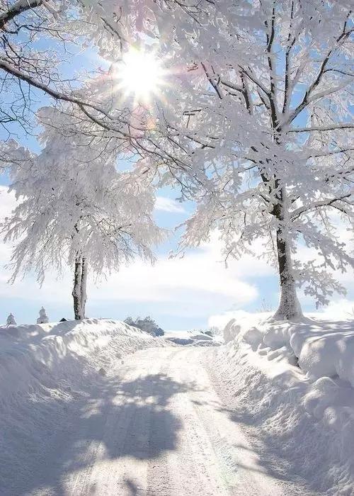 南方下雪的时候,是冬天最美的时候