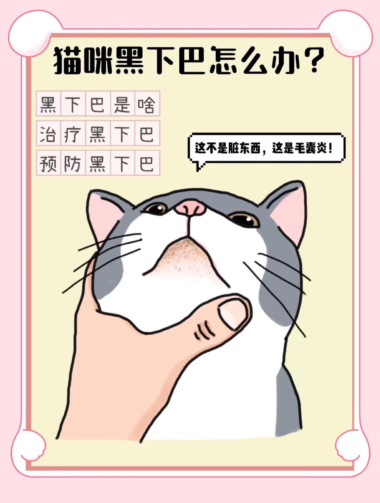 猫咪黑下巴?十块钱搞定!