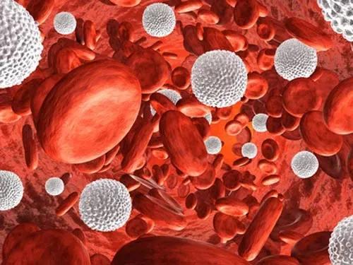 nat comm | 单倍体剂量不足可致癌:急性髓细胞白血病新靶点