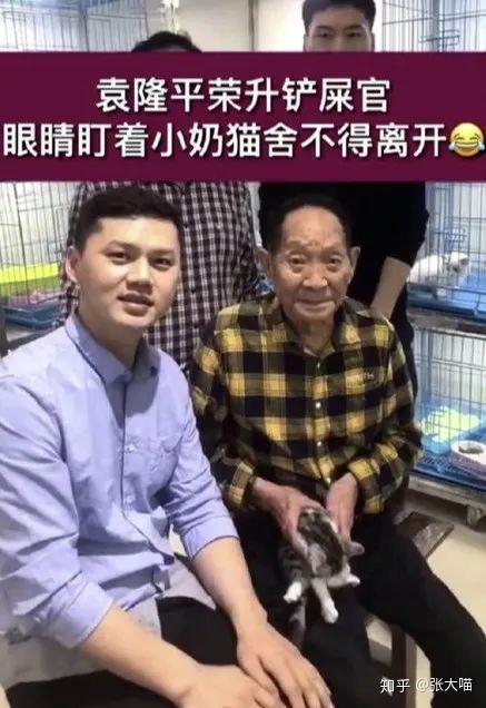 钟南山养猫可以提高主人的免疫力养猫真的可以让人更健康吗