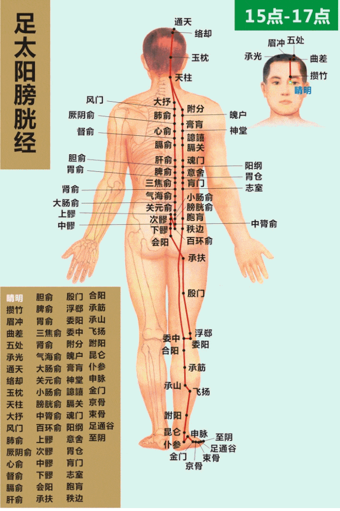 8.肾经
