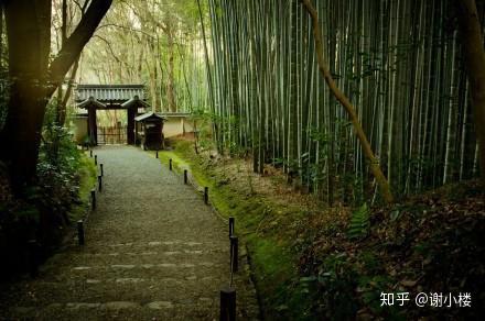 曲径通幽处,禅房花木深.