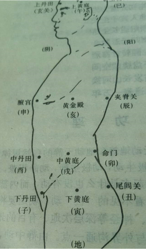 1.3 人体十二窍穴(妙门)图