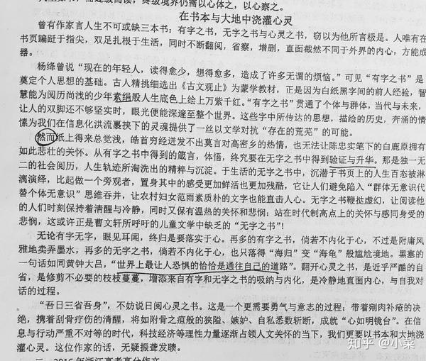 关于浙江高考满分作文《生活在树上》的一点看法