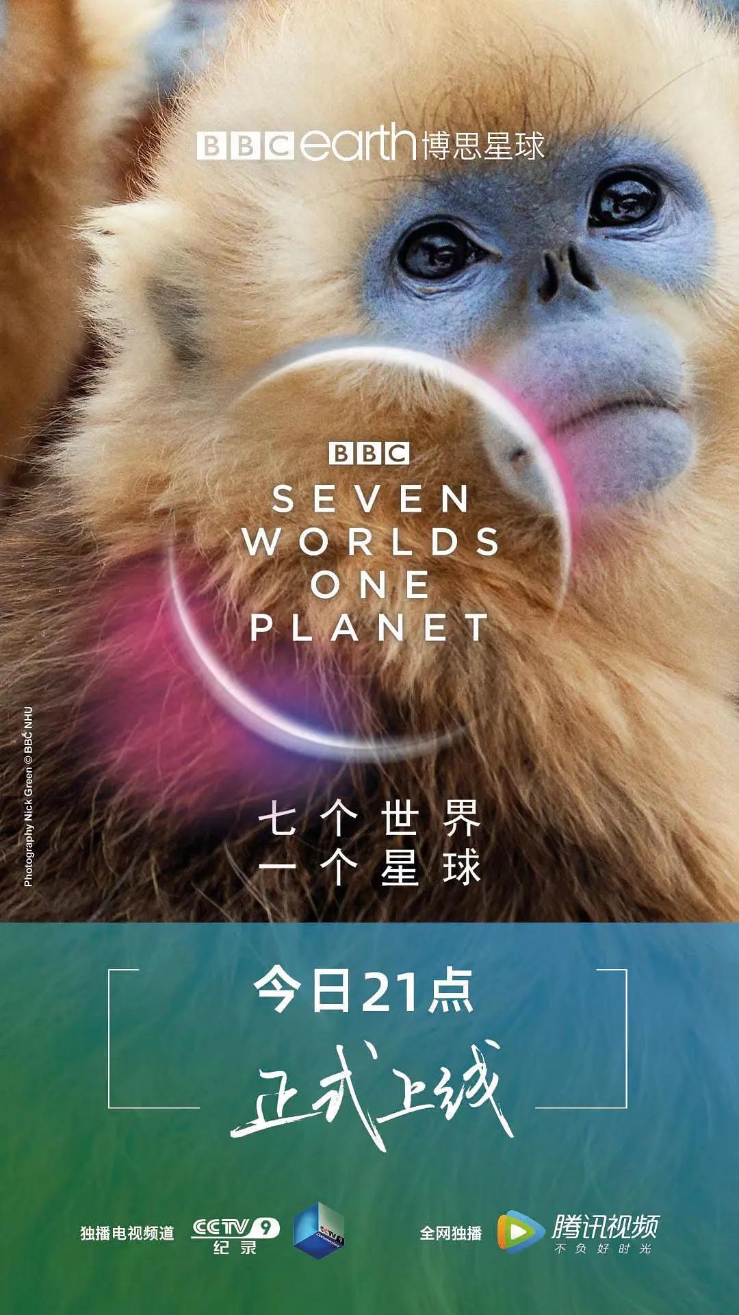 bbc纪录片七个世界一个星球解说词四六级gre单词标注和统计