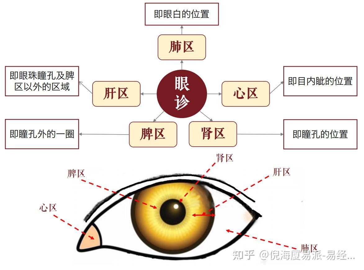 倪老师的眼睛里面的诊断法是根据五行相克原理去说的,眼睛内眦那颗