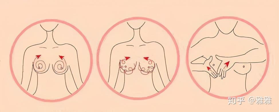 双手抱住整个乳房,轻轻按压胸部周围的组织,每次按压停留3秒
