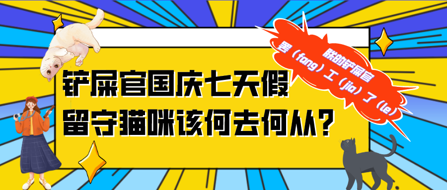 铲屎官国庆七天假留守猫咪该何去何从