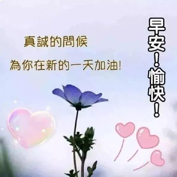 八月份清早问候语录图片鲜花带字清晨漂亮表情图片早上好动图