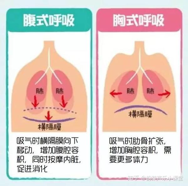 声乐老师拍了拍我的肚子说这不是腹式呼吸