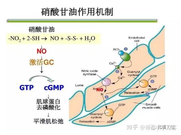 是炸药,也是续命药——硝酸甘油和它的前世今生