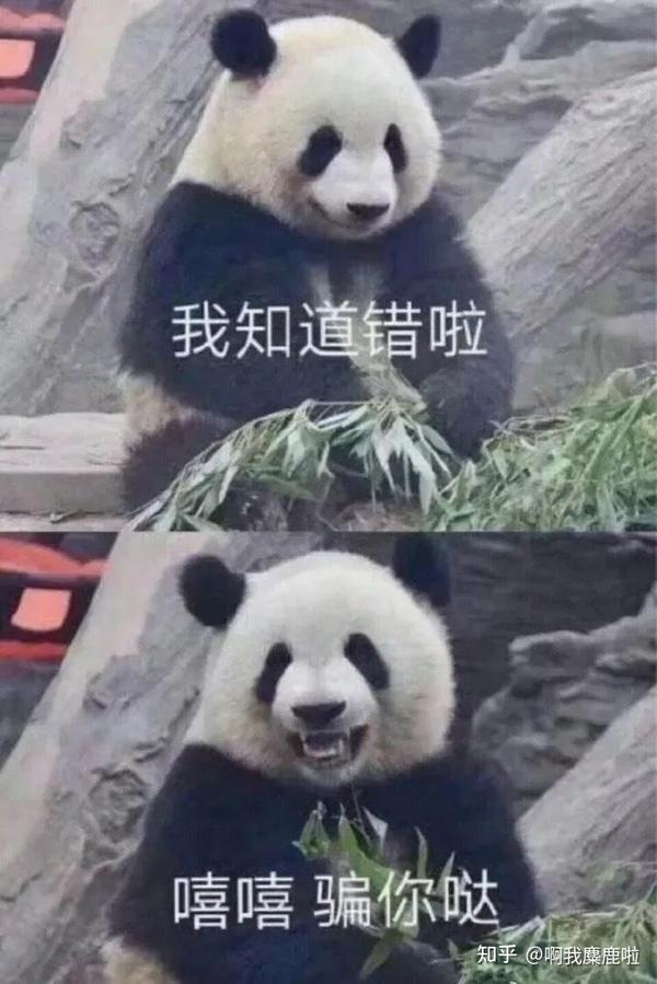 看看人家,多会说话,我反省我检讨!看看我说的,简短,冷漠,无情!