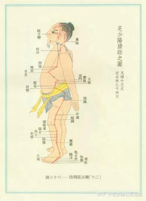 其支脉从耳穿过耳中,经耳前到外眼角;一支从外眼角分出,下走大迎穴