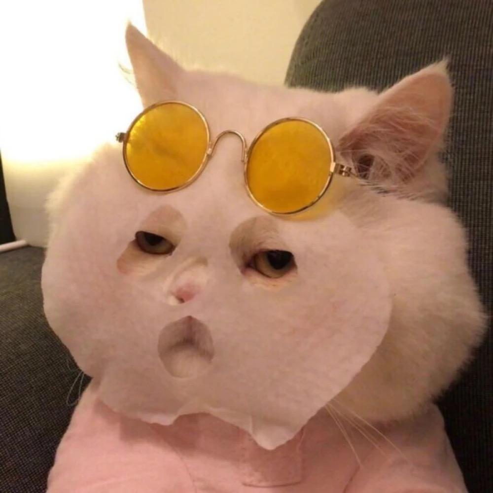 有什么好看的小动物头像