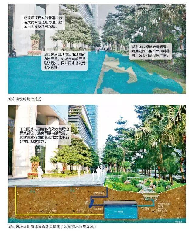 海绵城市的建设