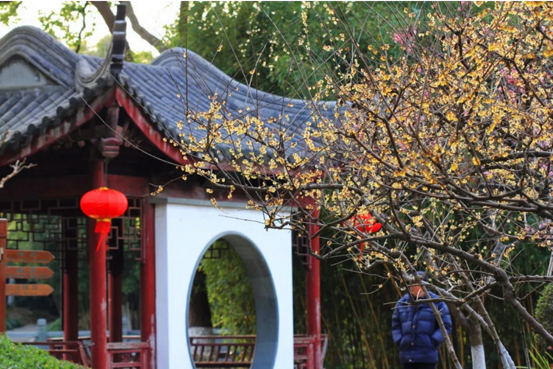 莘庄公园以梅著称的古典园林