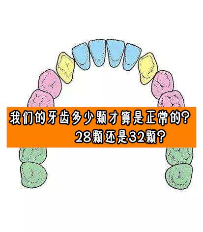 我们的牙齿多少颗才算是正常的?28颗还是32颗?