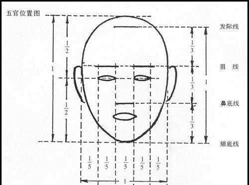 动漫绘画学习:动漫/漫画人物脸型画法及脸部结构比例