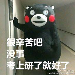 有哪些关于考研的表情包?