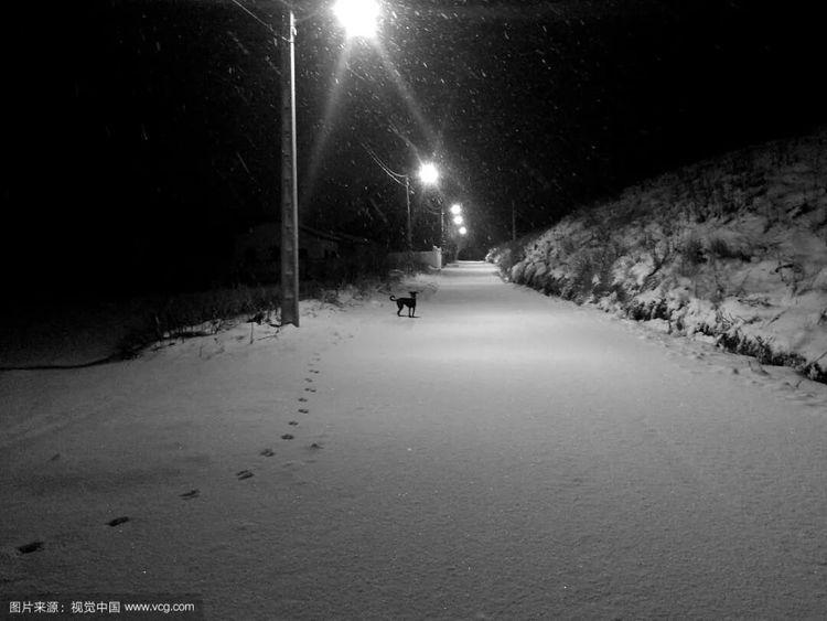 雪夜闭门读禁书