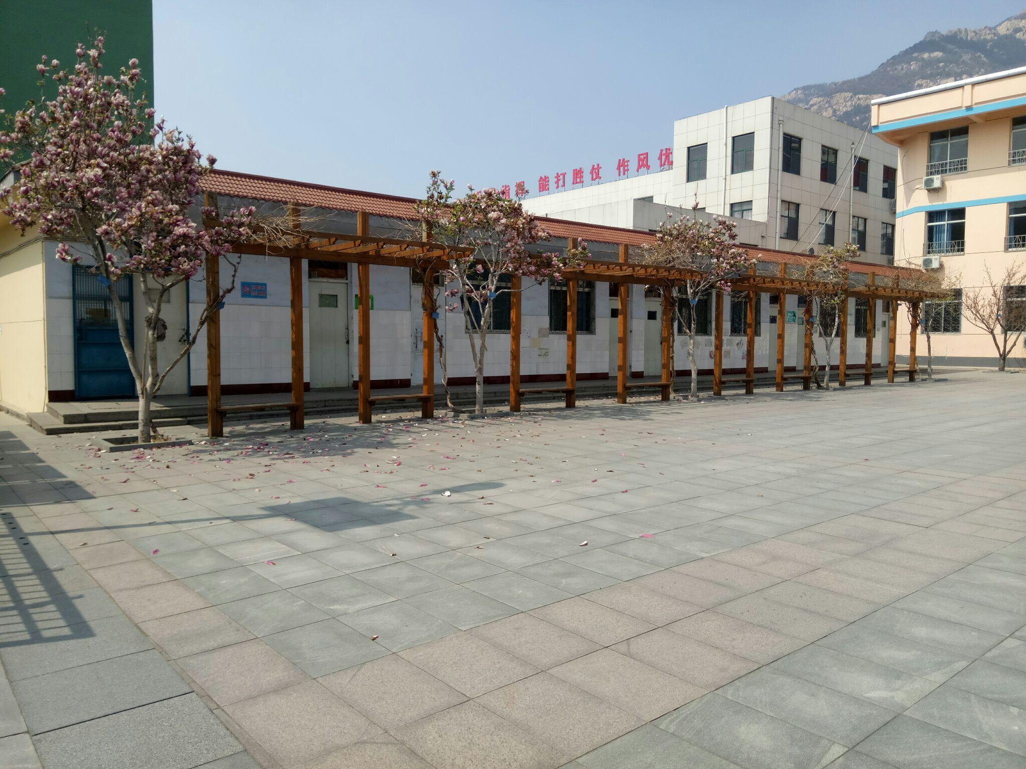 在泰安迎胜中学就读有何感想