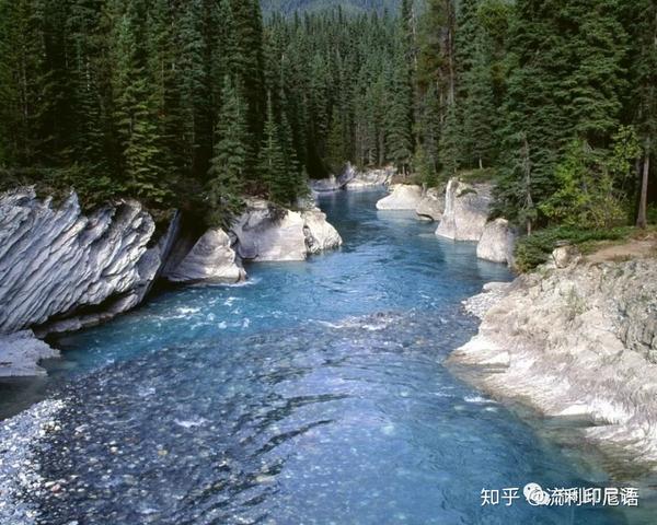 生命的河流