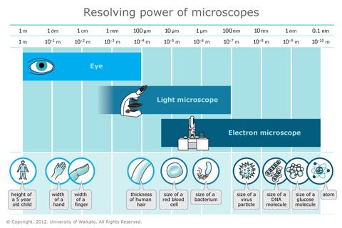 resolving power of microscopes www.sciencelearn.org.nz