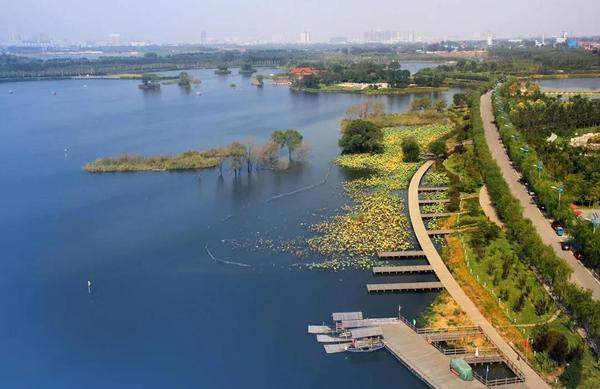 河北唐山南湖生态城中央公园中独特的湿地景观
