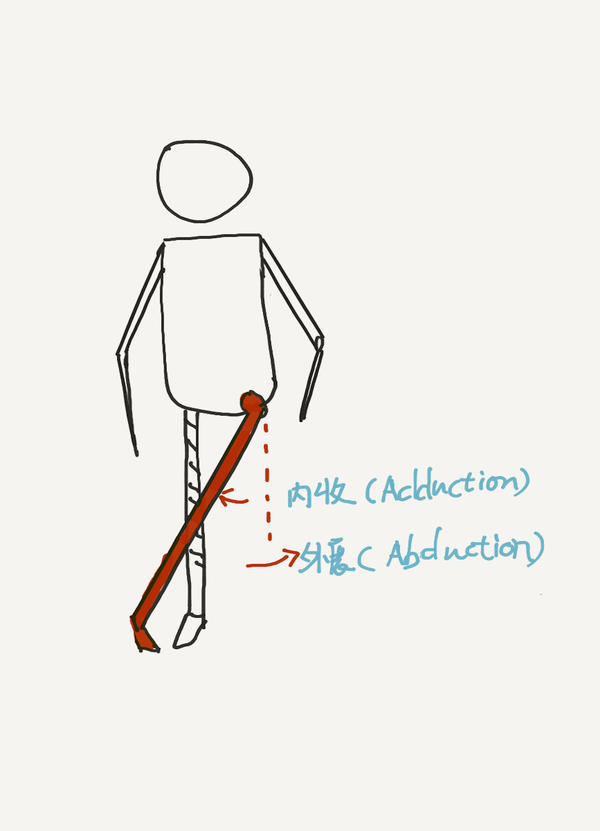 内收(adduction):腿向内收. 外展(abduction):腿向外展开.