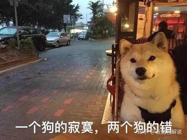 柴犬表情包