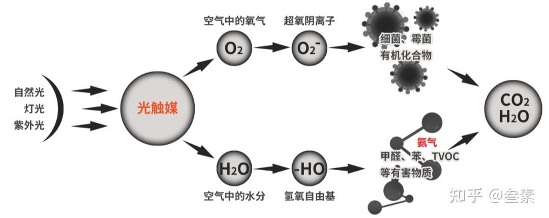 室内空气污染之氨气篇