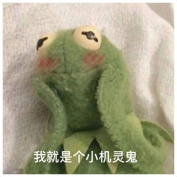 可以拿来发说说的沙雕可爱文案,十级搞笑